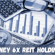 Money 6x REIT Holdings