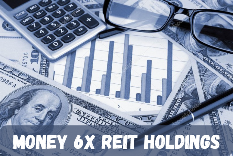 Money 6x REIT Holdings