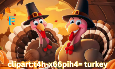 clipart:t4h-x66pih4= turkey