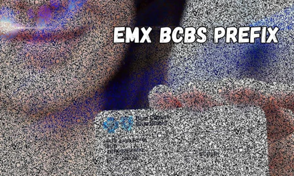 Understanding The EMX BCBS Prefix: A Comprehensive Guide