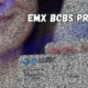 Understanding The EMX BCBS Prefix: A Comprehensive Guide