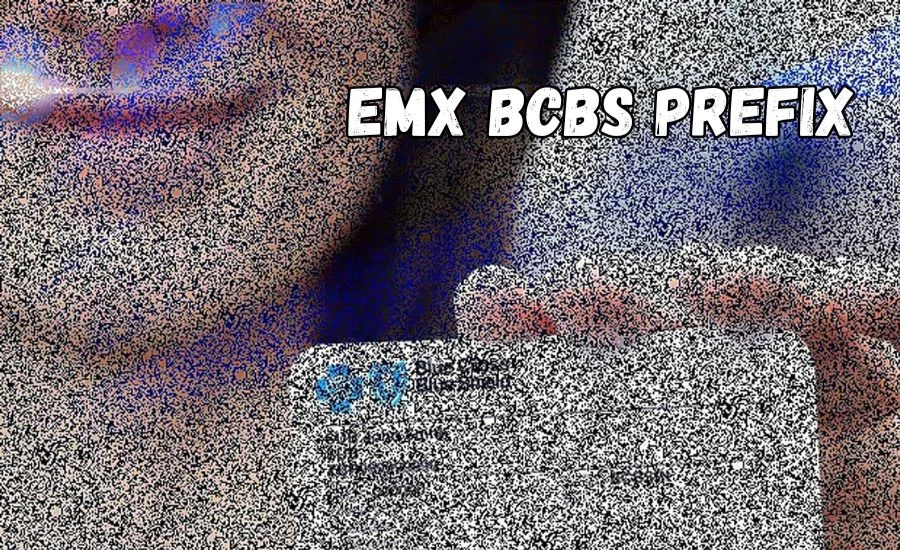 Understanding The EMX BCBS Prefix: A Comprehensive Guide